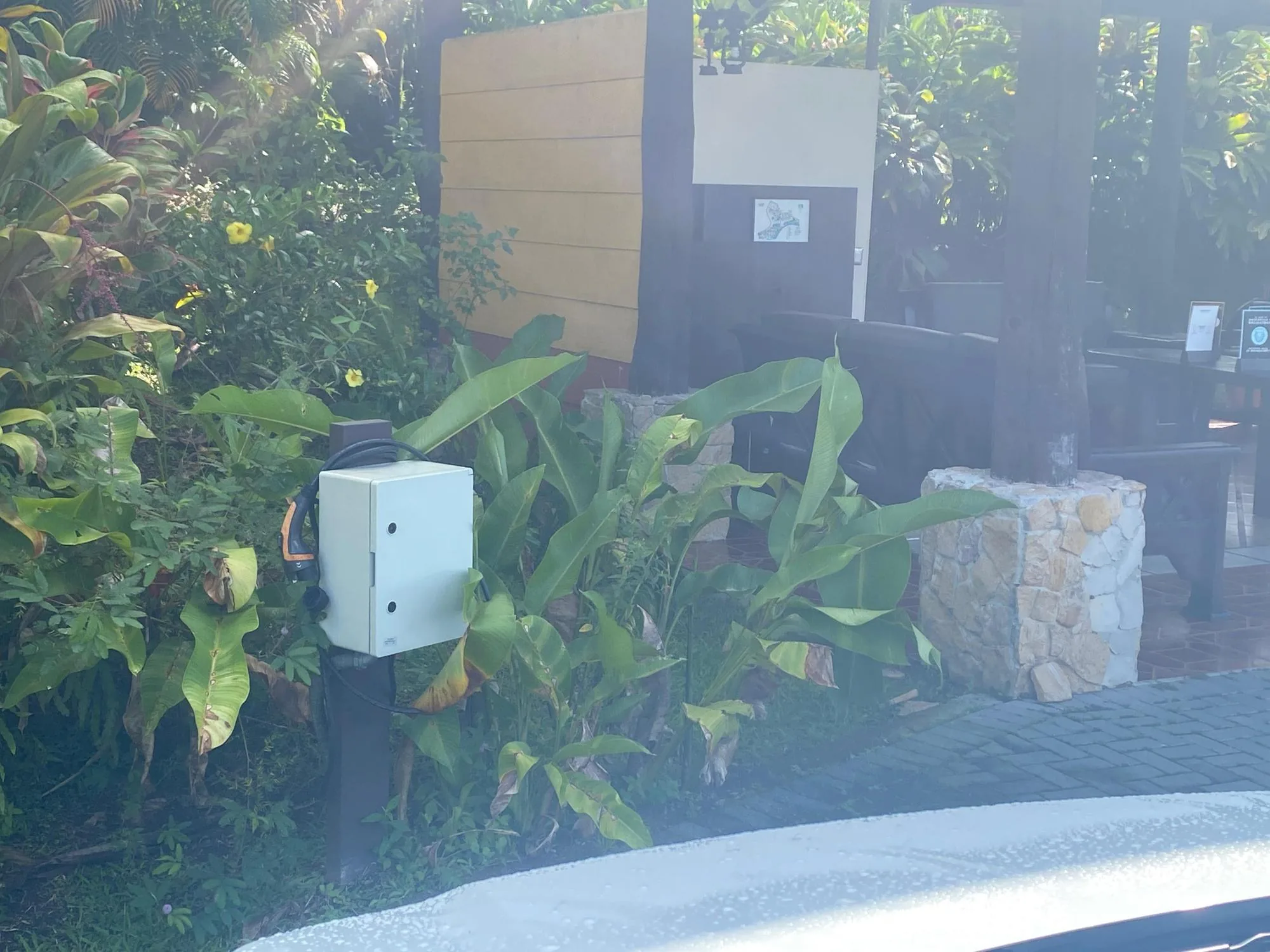MANOA