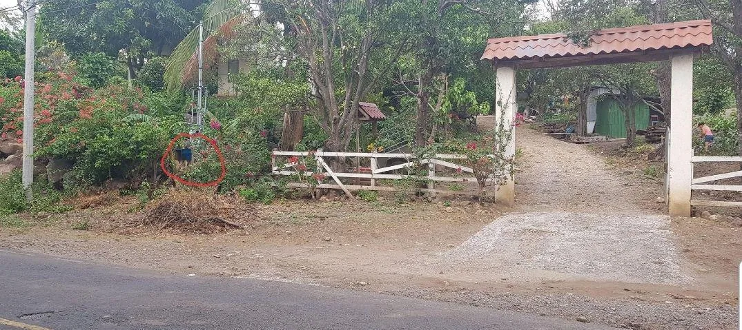 FINCA HIDALGO