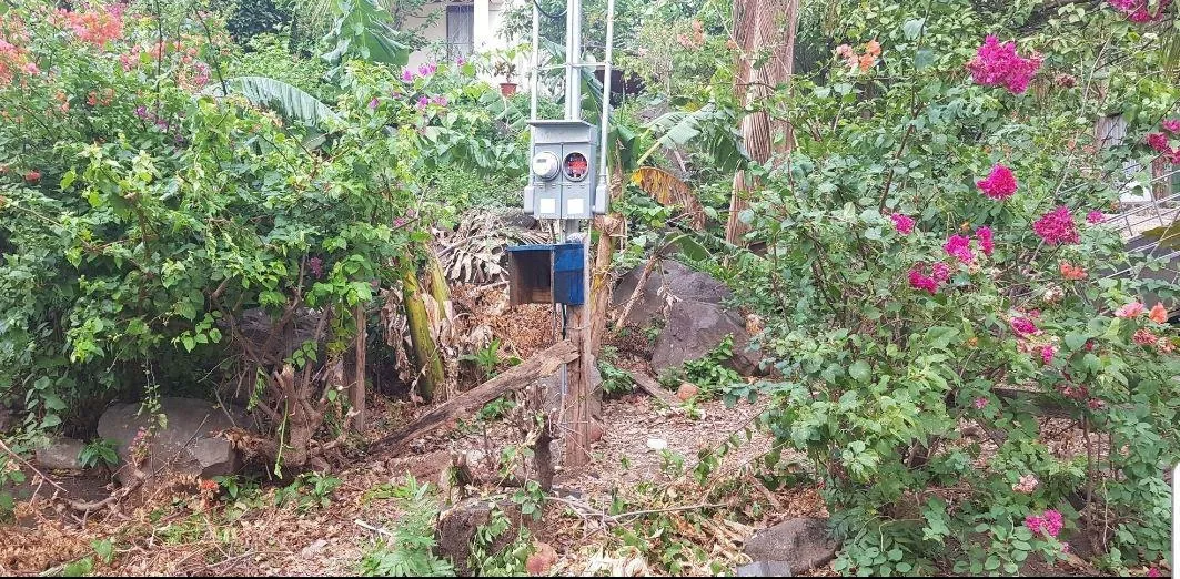 FINCA HIDALGO