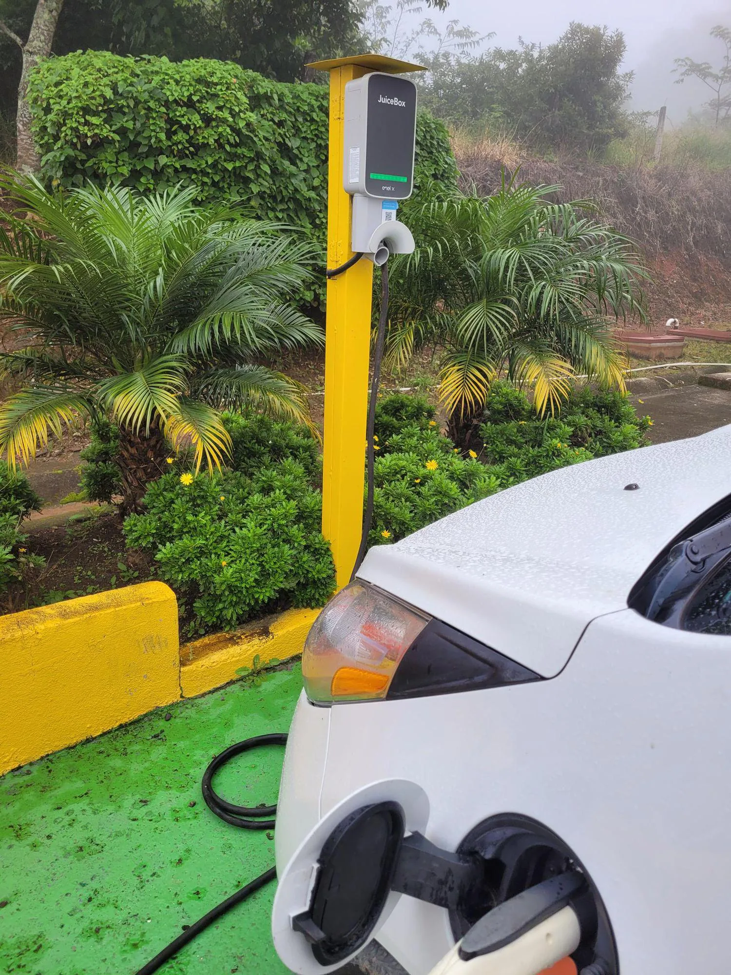 ESTACIÓN DE SERVICIO JSM - 606 GAS