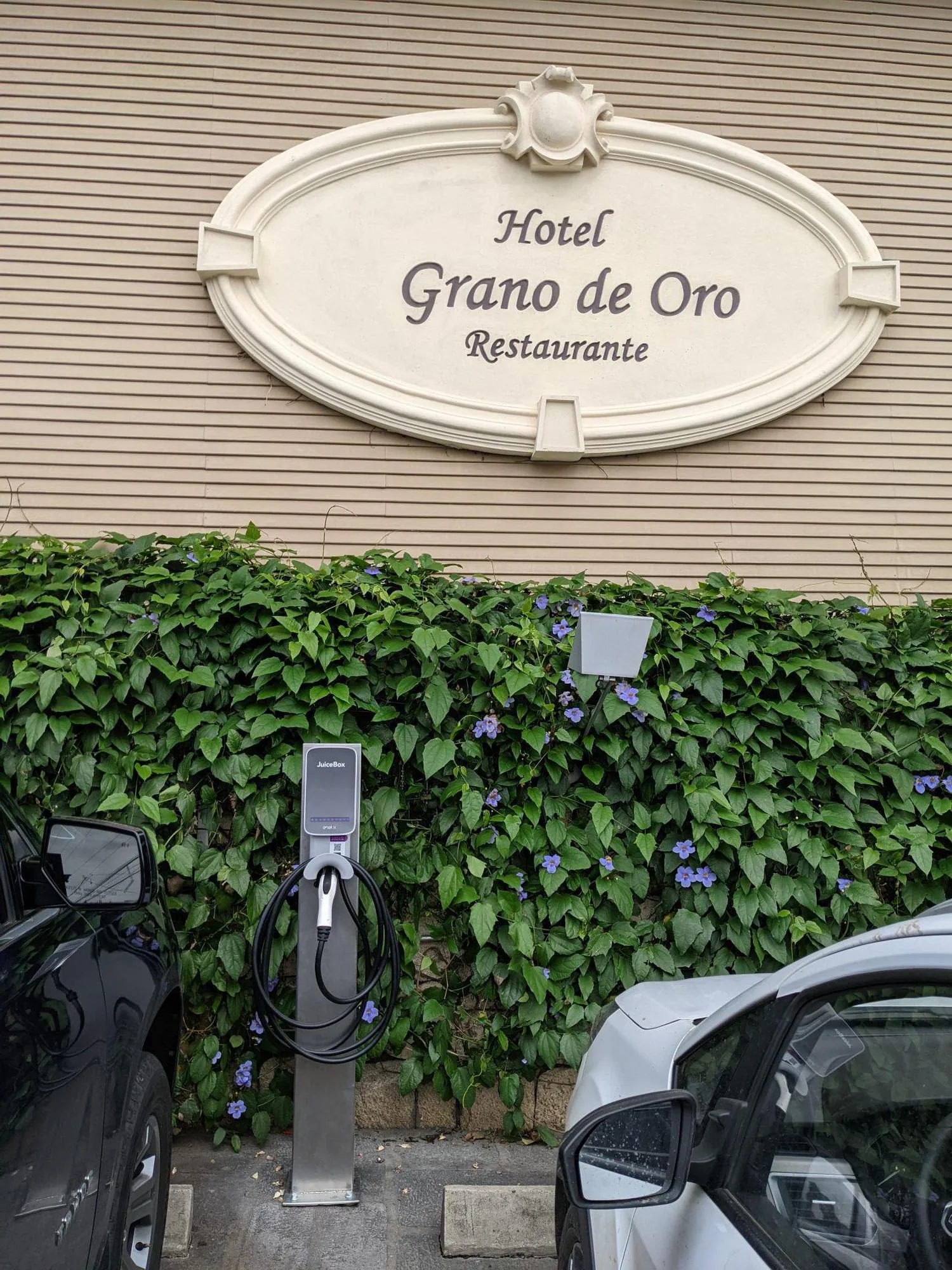 HOTEL GRANO DE ORO