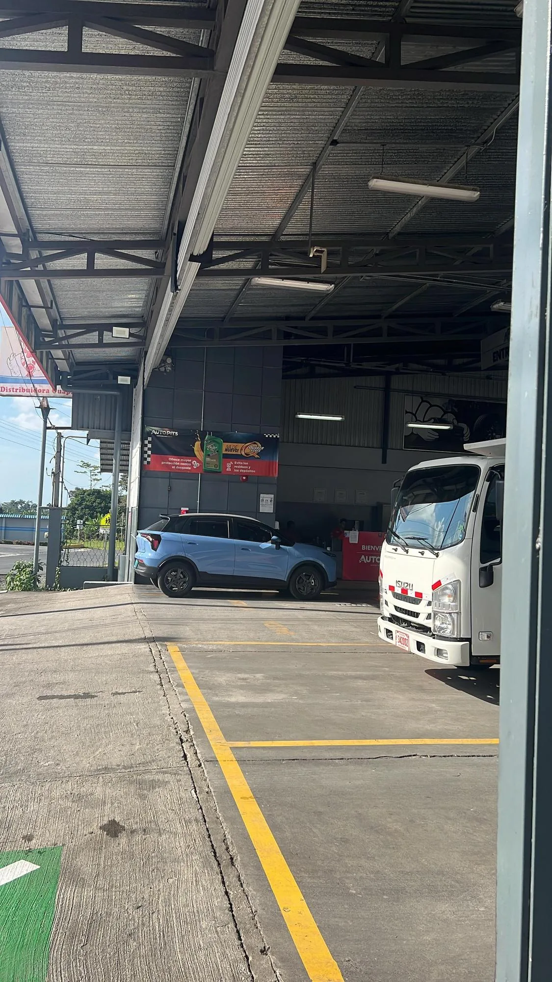 AUTO PITS