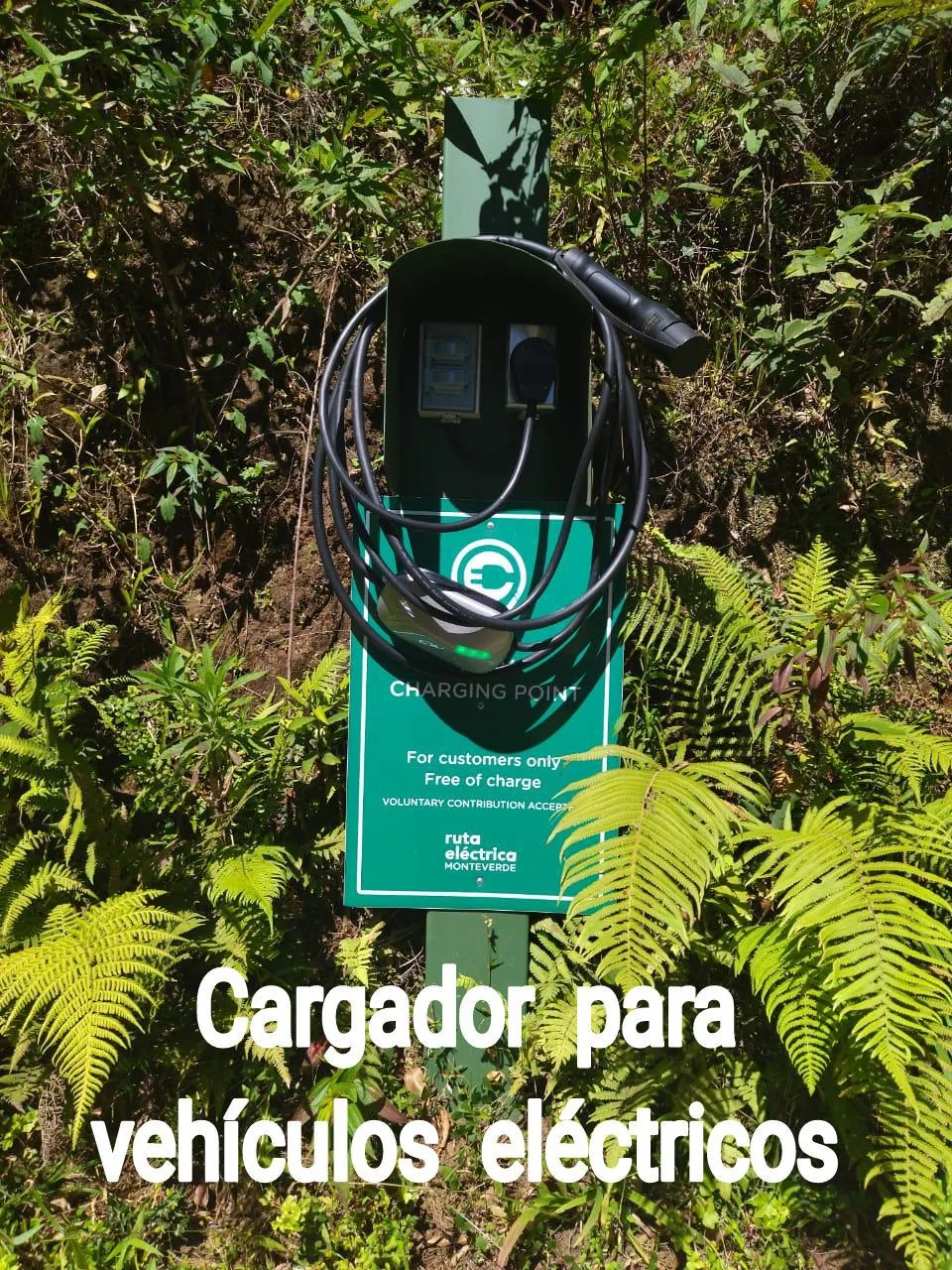 LOS PINOS - CABAÑAS Y JARDINES