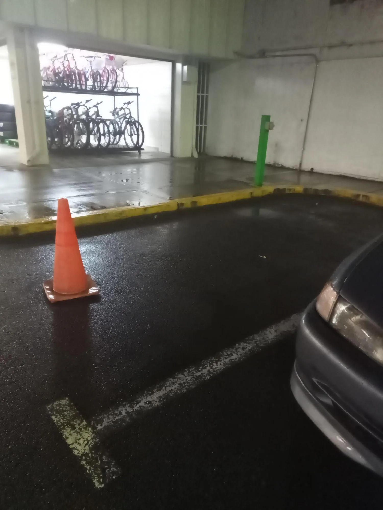MAXI PALI PARAISO