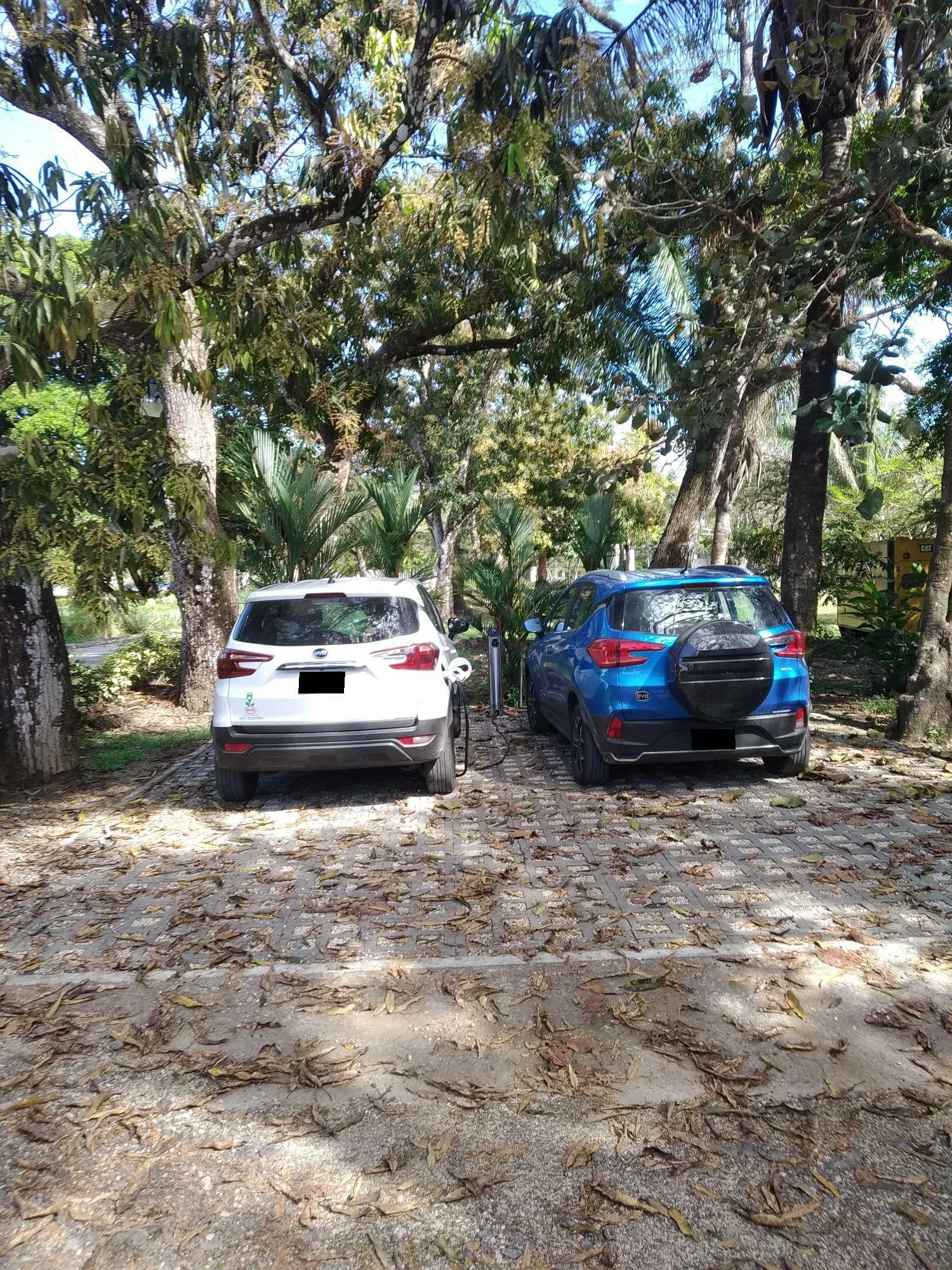 VILLAS PLAYA SAMARA