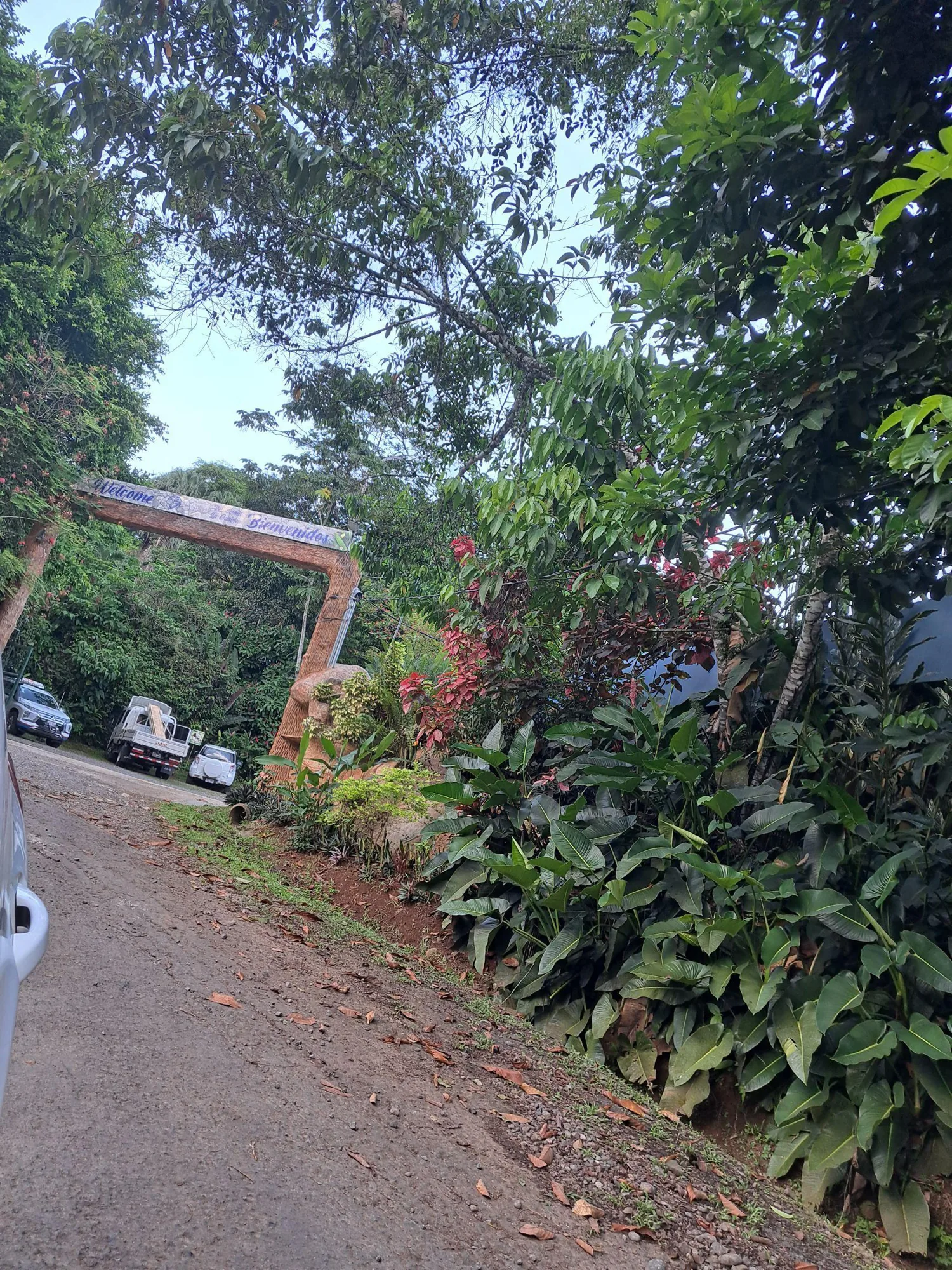 HOTEL ARA AMBIGUA