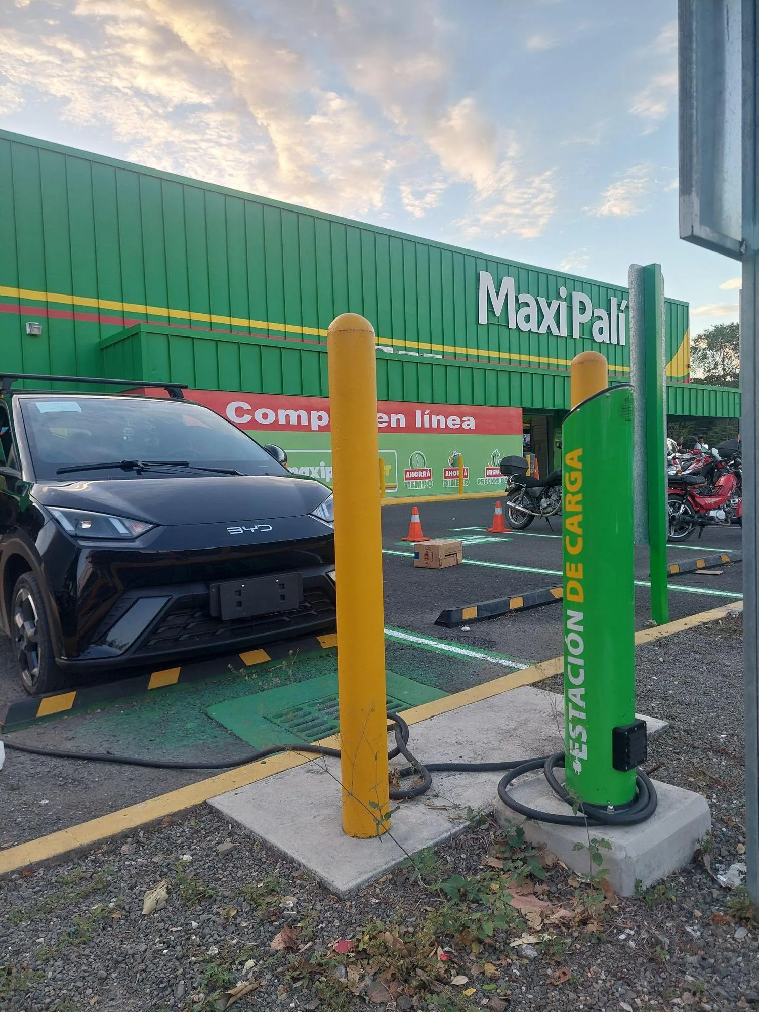 (J) MAXI PALÍ