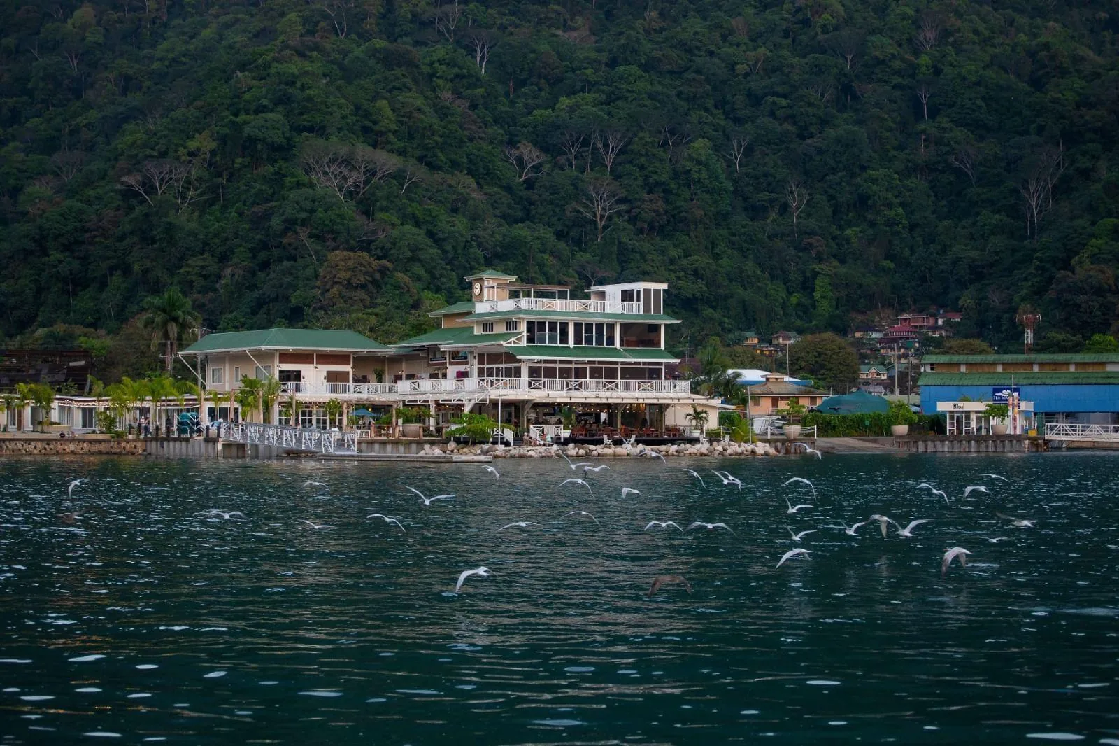 MARINA BAHÍA GOLFITO