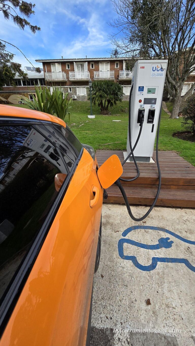 1407772 768x1364
