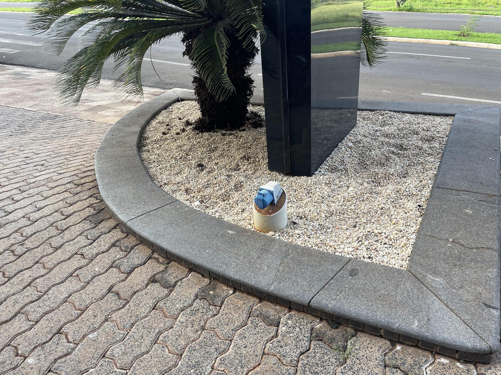2623266