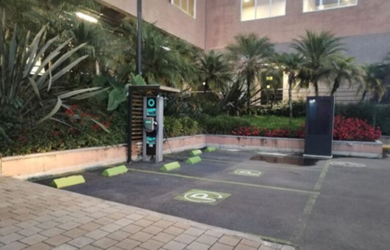 VIVA LA CEJA 2 768x493