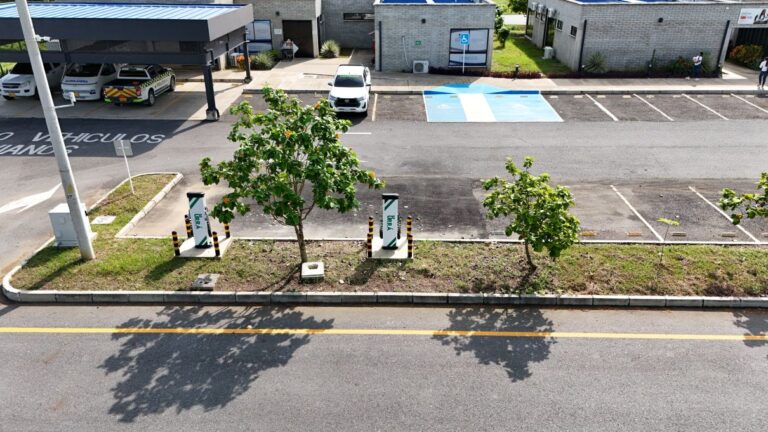 URRA MATA DE CAÑA - LORICA